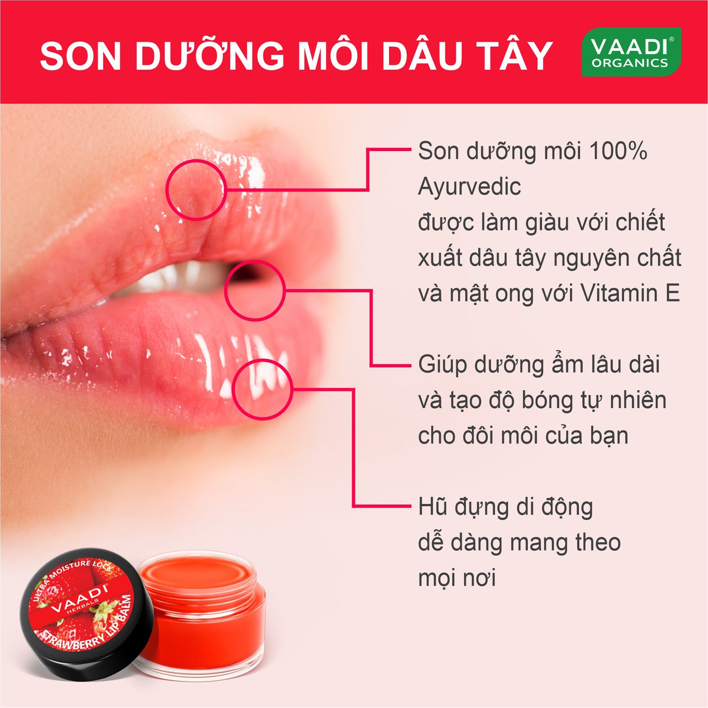 Nourishing Strawberry and Honey Lip Balm (8 x 10 gms/0.4 oz)