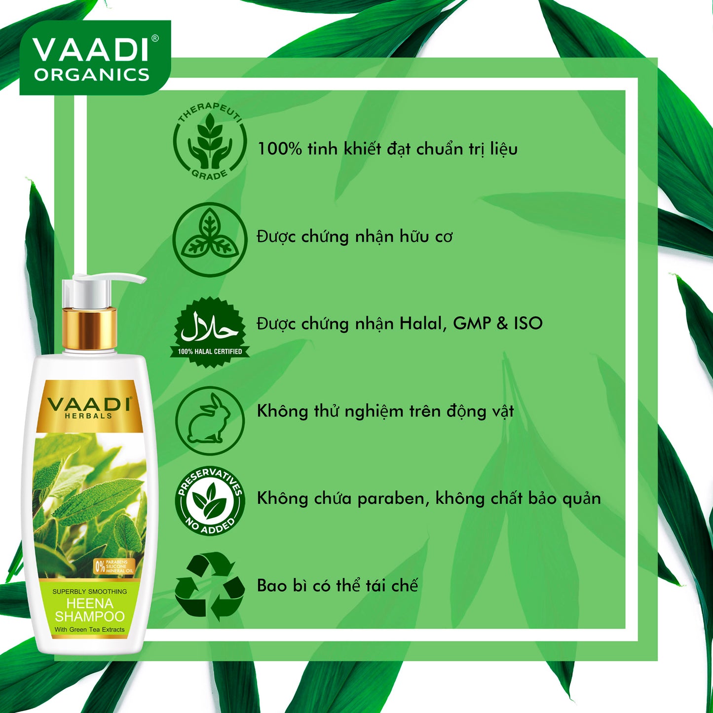 Dầu Gội Lá Móng Siêu Mượt Với Chiết Xuất Trà Xanh (350 ml)