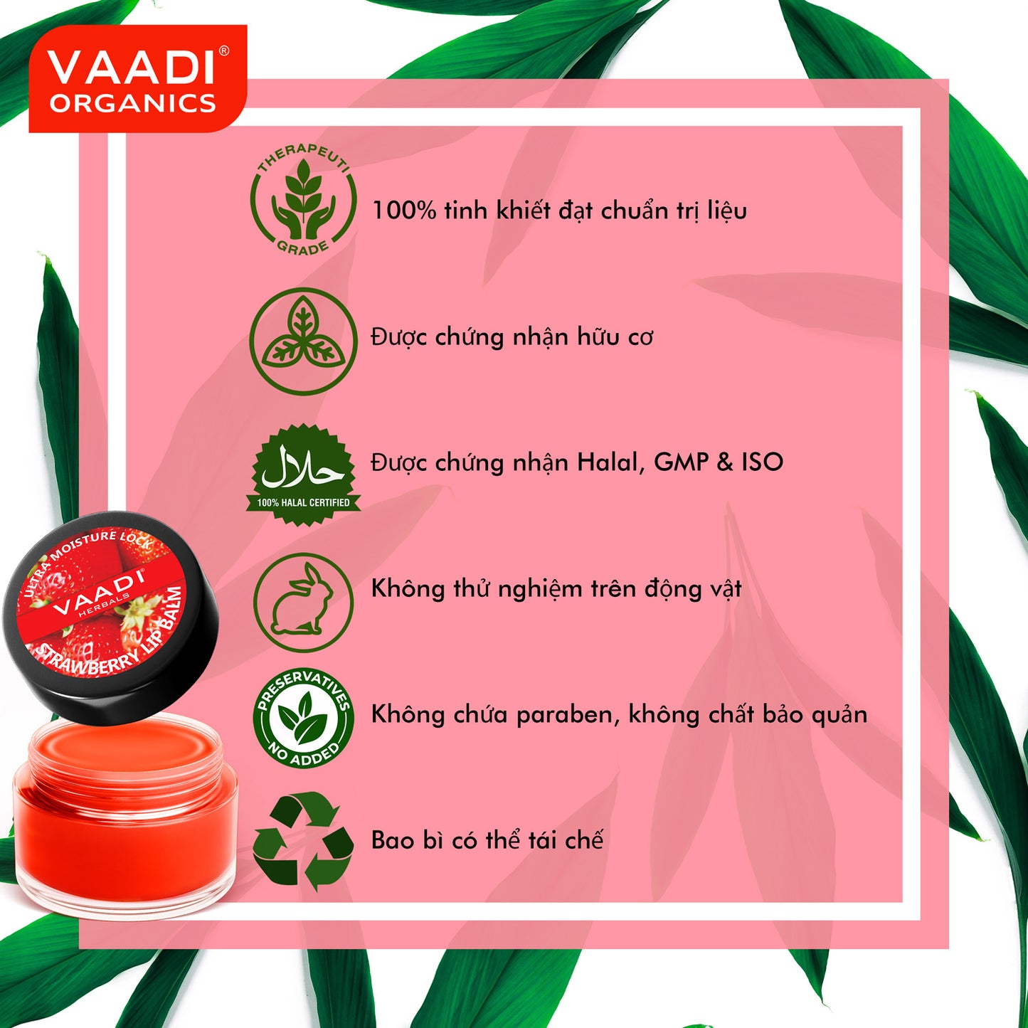 Nourishing Strawberry and Honey Lip Balm (4 x 10 gms/0.4 oz)