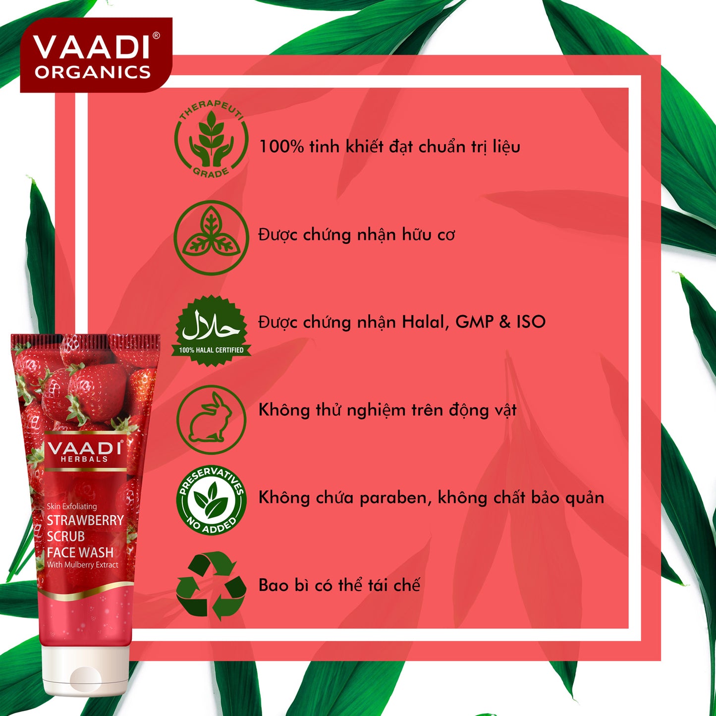 Skin Exfoliating Organic Strawberry Scrub Face Wash with Mulberry Extract- Removes Dead Skin - Deeply Nourishes Skin ( 4 x 60ml/ 21.1 fl oz)