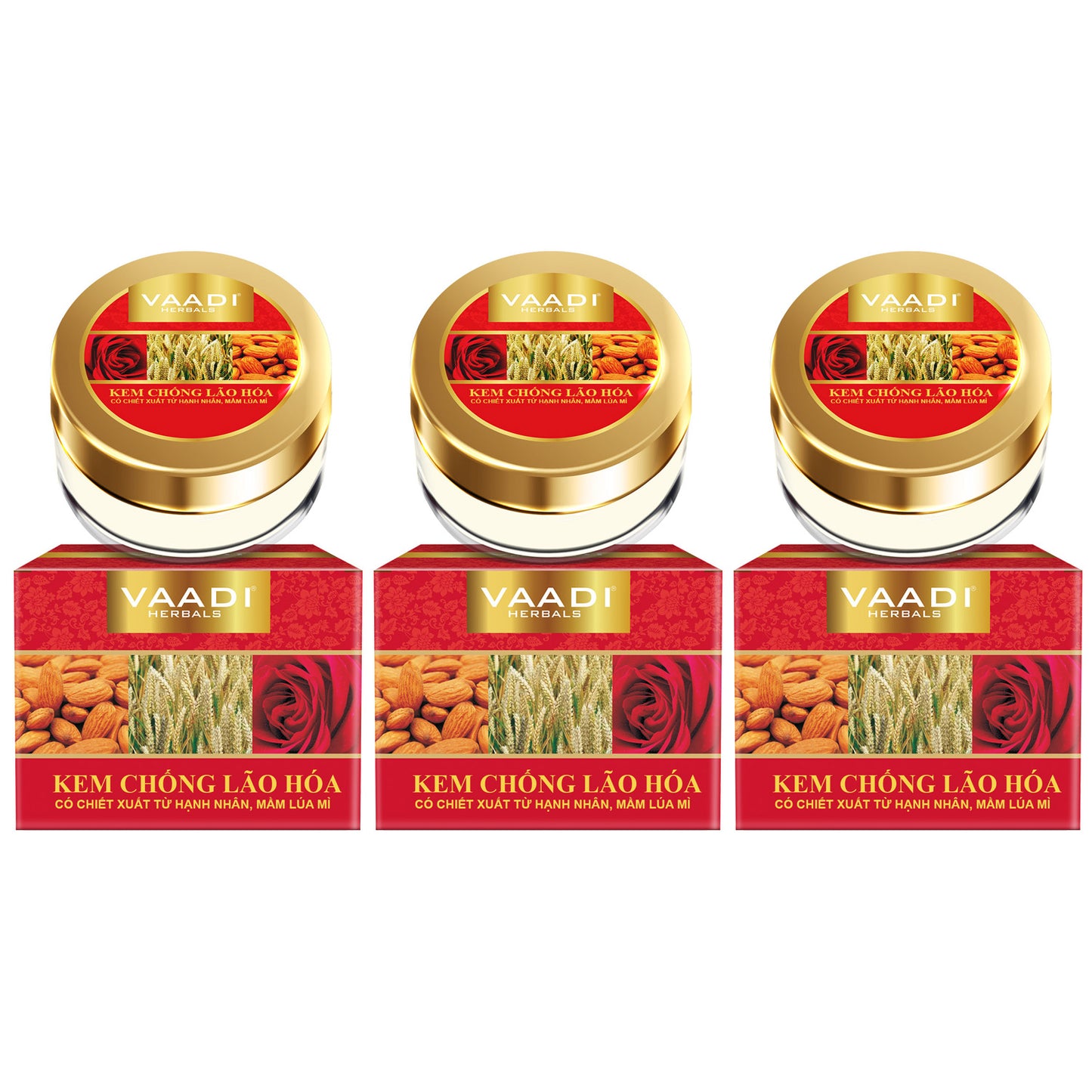 Organic Anti Ageing Cream with Almond, Wheatgerm - Boosts Collagen & Delays Wrinkles - Keeps Skin Soft & Youthful (3 x 30 gms /1.1 oz)